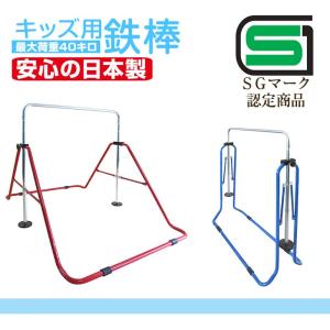 3日+5% 健康鉄棒DX室内鉄棒 子供用鉄棒 ...の詳細画像1