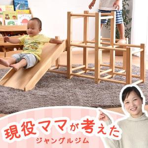 ジャングルジム すべり台 おもちゃ 大型遊具 子供用