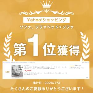 本日+5% ソファー 3人掛け ソファ 2人掛...の詳細画像1