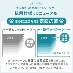 ペットシーツ ワイド レギュラー 800枚 4...の詳細画像1