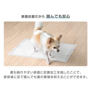 ペットシーツ ワイド レギュラー 800枚 4...の詳細画像2