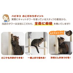 本日+5% キャットタワー 突っ張り スリム ...の詳細画像1