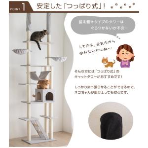 本日+5% キャットタワー 突っ張り スリム ...の詳細画像4