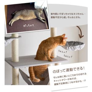 本日+5% キャットタワー 突っ張り スリム ...の詳細画像5