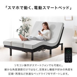 電動ベッド 介護 ダブル 2モーター 介護ベッ...の詳細画像1