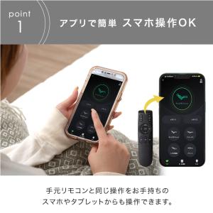 電動ベッド 介護 ダブル 2モーター 介護ベッ...の詳細画像3