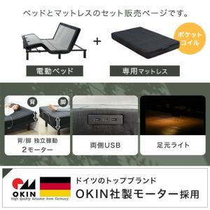 15日P14%〜 電動ベッド 介護 セミダブル...の詳細画像1