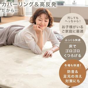 本日+10% ラグ 冬用 洗える 冬用ラグ カ...の詳細画像1