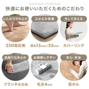 本日+10% ラグ 冬用 洗える 冬用ラグ カ...の詳細画像2