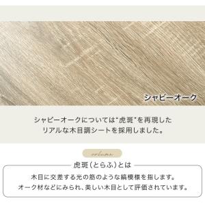 本棚 スリム 薄型 大容量 扉付き 幅30 a...の詳細画像4