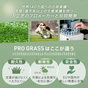 人工芝 ロール 1m × 10m 防草シート付...の詳細画像1
