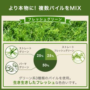 8日+5% 人工芝 ロール 高密度 2m×10...の詳細画像5