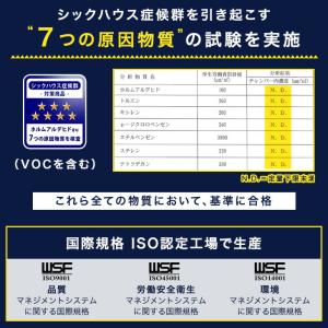 本日+4% 人工芝 1m×10m ロール 防炎...の詳細画像2