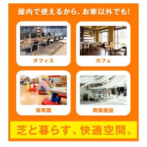本日+4% 人工芝 1m×10m ロール 防炎...の詳細画像3