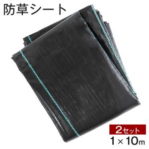 17日+5% 防草シート 2セット 1×10 人工芝 固定 ガーデニング DIY ガーデン 庭 草除けシート