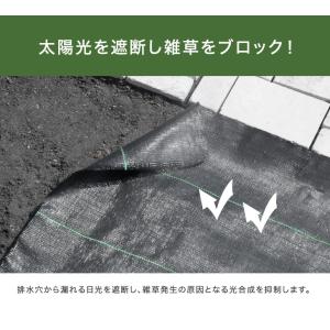 本日+5% 防草シート 2×10m ガーデニン...の詳細画像4