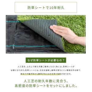人工芝 2m×10m ロール 防草シート 人工...の詳細画像1