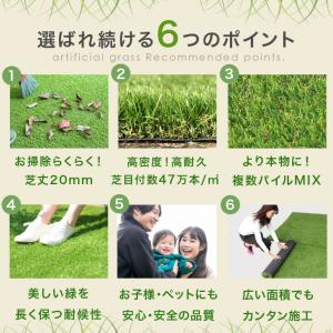 本日+5% 人工芝 2m×10m ロール 人工...の詳細画像3