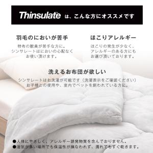 掛け布団 シンサレート シングル 2枚組 暖か...の詳細画像4