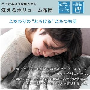 本日+4% こたつ 2点セット 円形 丸形 お...の詳細画像1
