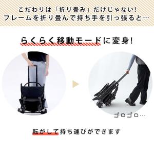 本日+5% ペットカート 小型犬 中型犬 多頭...の詳細画像5