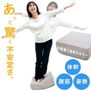 バランスクッション 16cm厚 EPE製ボール内蔵 コンパクト メッシュ生地 体幹 トレーニング ダイエット フィットネス エクササイズ バランスディスク