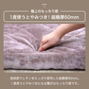 本日+5% ラグ 2畳 厚手 洗える 北欧 高...の詳細画像3