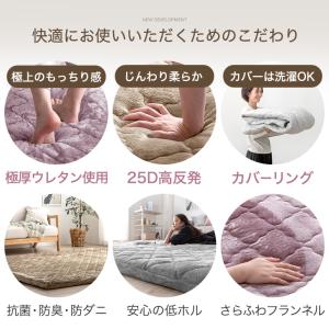 本日+5% ラグ 2畳 厚手 洗える 北欧 高...の詳細画像2