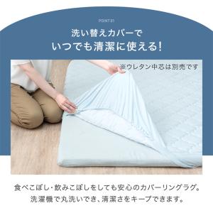 【商品番号:65010032専用】ひんやりカバ...の詳細画像2