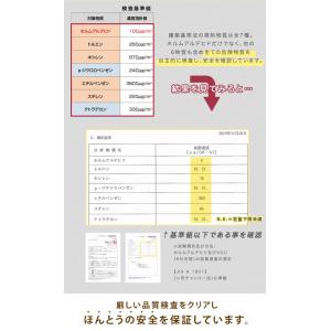 ビーズクッション 補充用 ビーズ 1kg 0....の詳細画像4