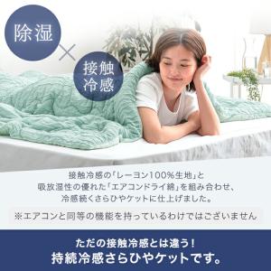 25日+5% 掛け布団 セミダブル 夏用掛け布...の詳細画像3