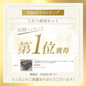 本日+4% こたつ布団 長方形 120×80 ...の詳細画像1