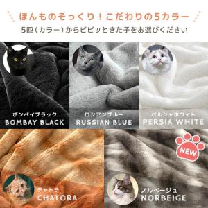 8日+5% 毛布 シングル 暖かい 2枚合わせ...の詳細画像3