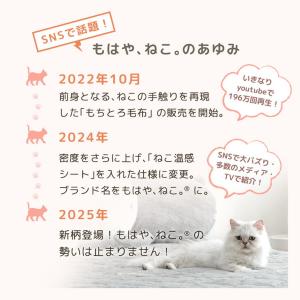 8日+5% 毛布 シングル 暖かい 2枚合わせ...の詳細画像4