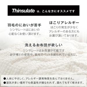 毛布 セミダブル 暖かい ブランケット 洗える...の詳細画像4