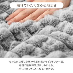 毛布 セミダブル 2枚合わせ ブランケット 暖...の詳細画像5
