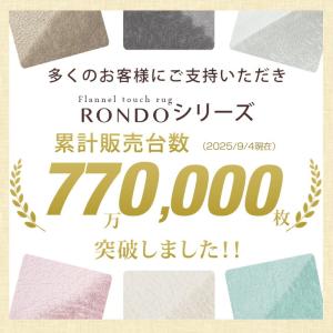 ラグ 1畳 カーペット ラグマット 洗える お...の詳細画像2