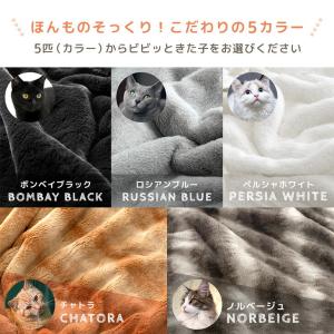毛布 シングル 暖かい 2枚合わせ 掛け布団カ...の詳細画像2