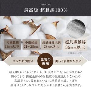 本日+5% 布団カバー シングル 綿 100%...の詳細画像3