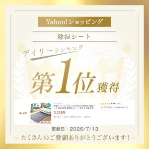 除湿シート シングル シリカゲルの4倍吸水 除...の詳細画像1