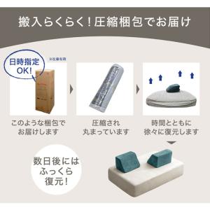 ソファ 2人掛け 3人掛け 洗える カバーリン...の詳細画像2