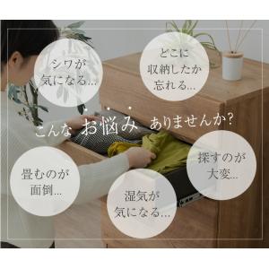 本日+5% スラックスハンガー 15本 キャス...の詳細画像5