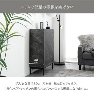 ゴミ箱 90l おしゃれ 目隠し 蓋付き 分別...の詳細画像3