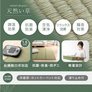 23日+5% 畳マット ダブル い草 5つ折り...の詳細画像3