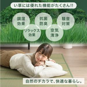 23日+5% 畳マット ダブル い草 5つ折り...の詳細画像5