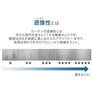 本日+5% レースカーテン 2枚組 ミラー 洗...の詳細画像5