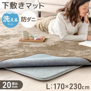 17日+5% 下敷きマット 洗える ラグ 下敷き 厚手 20mm 170×230 マット 3畳 下敷きラグ アンダーラグ カーペット ラグマット 防音 防ダニ 滑り止め 床暖房 らぐ