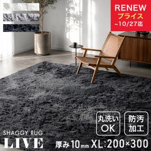 本日+4% ラグ シャギーラグ 高密度 200×300 4畳 洗える 防汚 ラグマット カーペット 絨毯 厚手 洗えるラグ 夏用ラグ オールシーズン おしゃれ