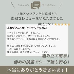 本日+5% キャットタワー 大型猫用 猫タワー...の詳細画像1