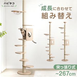 キャットタワー 突っ張り 木製 高さ 187〜267cm 大型猫用 猫タワー つっぱり 爪研ぎ 麻紐 猫 つめとぎ キャットハウス 多頭 おしゃれ 猫 タワー｜タンスのゲン Design the Future